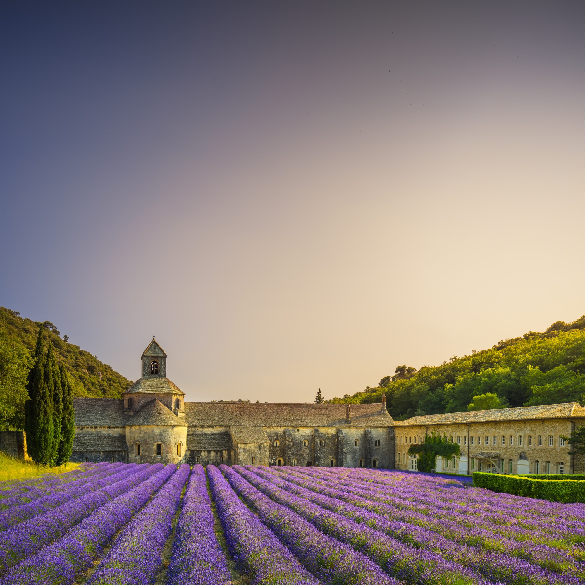 Notre-Dame de Sénanque Abbey amid lavender fields