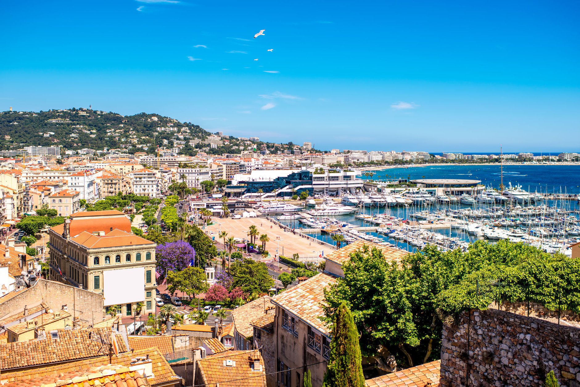 tourism in cannes
