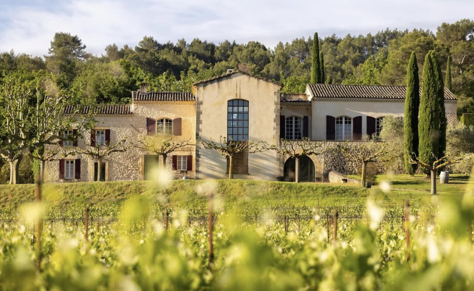 Domaine Tour Campanets entre vignes et forêt