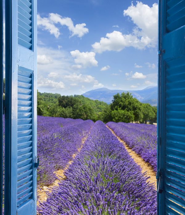 Lavender field with summer blue sky through wooden shutters, France