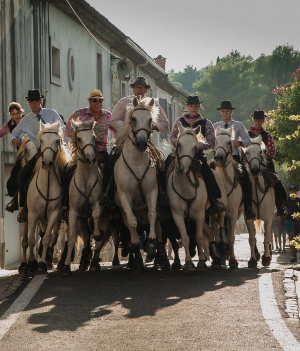 people-tourism-horses-camargue-feria-bulls- Visit Provence